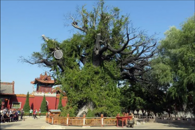 65ba3ebfb317f.png KXQP9[{3N@EFI4B}VBQ8@HK.png