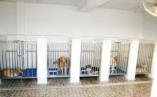 极悦娱乐