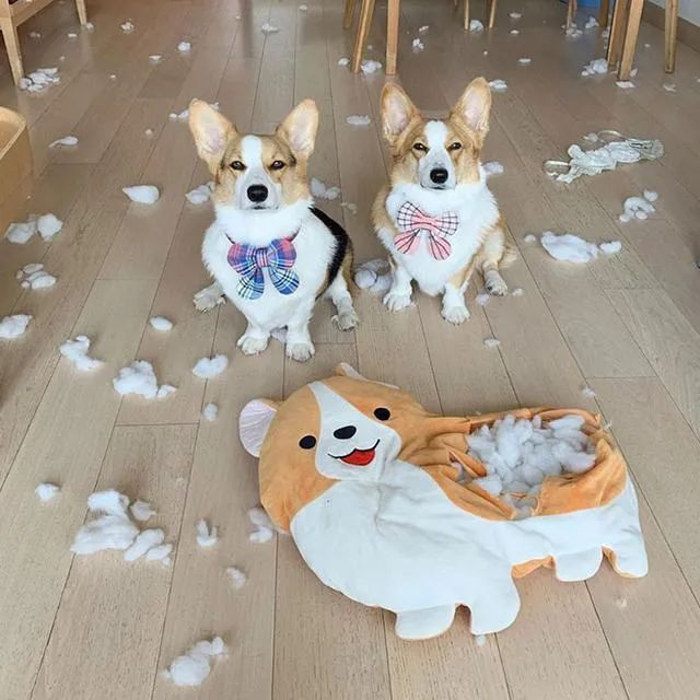 极悦娱乐
