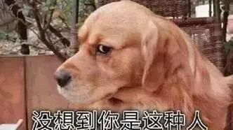 极悦娱乐