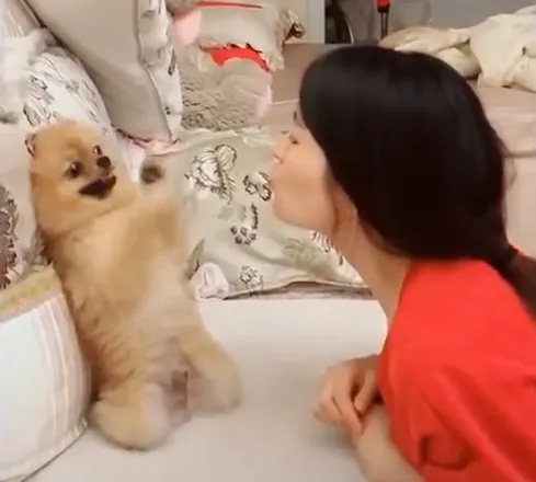 极悦娱乐