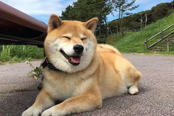 极悦娱乐