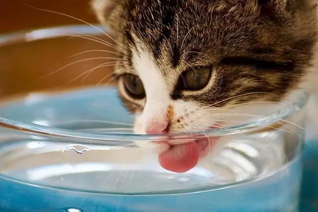 极悦娱乐