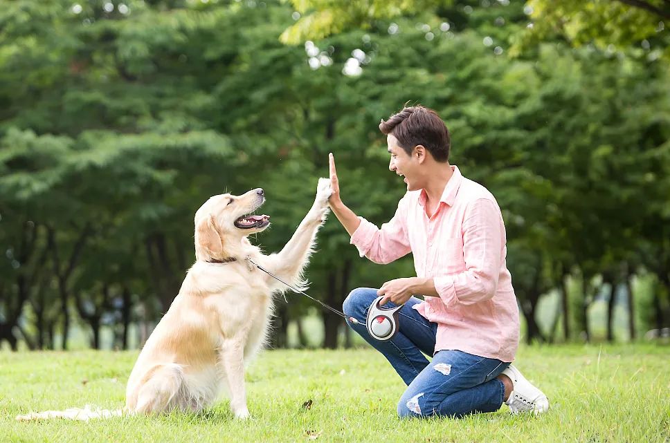 极悦娱乐