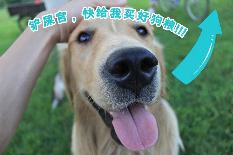 极悦娱乐