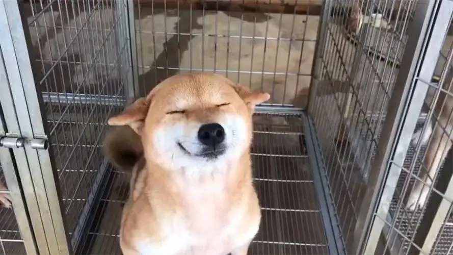极悦娱乐
