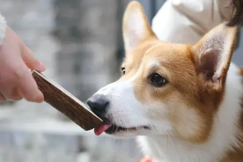极悦娱乐
