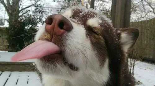 极悦娱乐