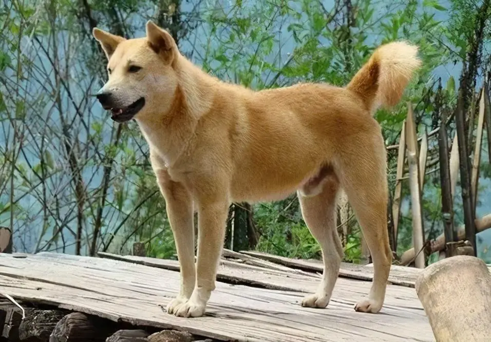 极悦娱乐