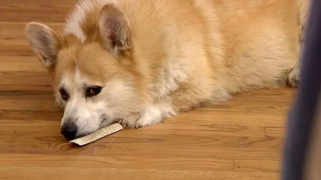 极悦娱乐