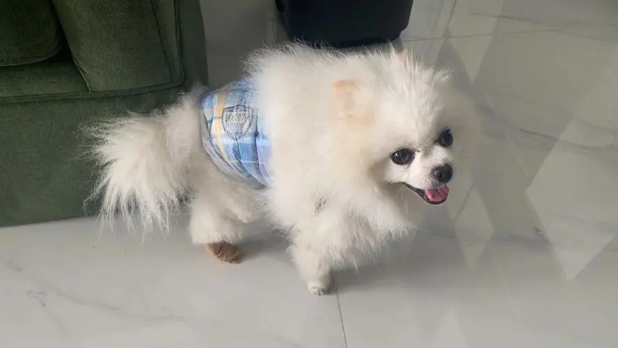 极悦娱乐