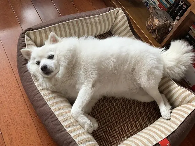 极悦娱乐