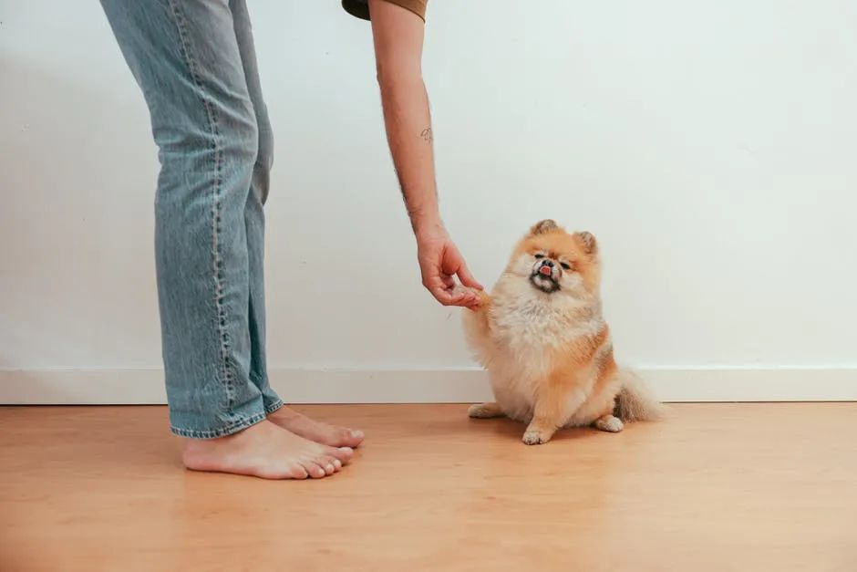 极悦娱乐
