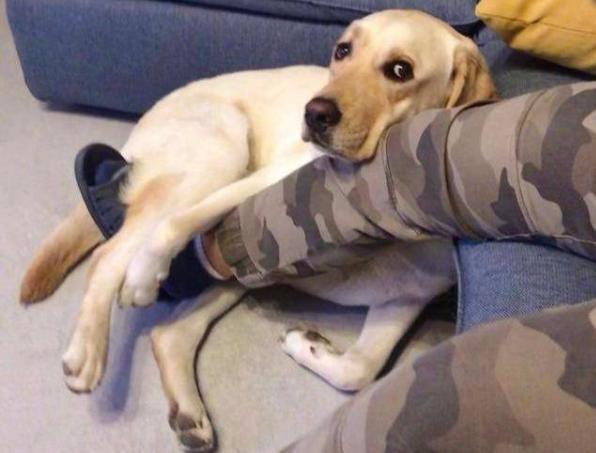 极悦娱乐